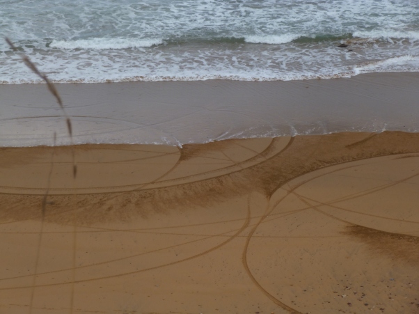 And these crop circles on the beach . . . all along this particular beach